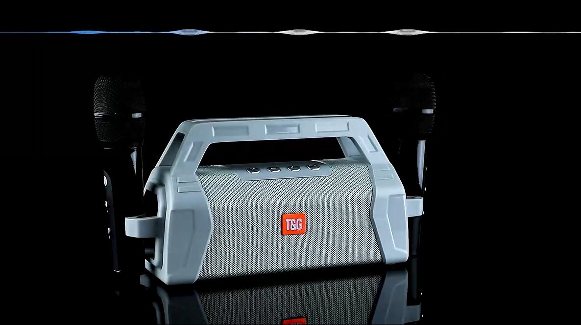 TG538 portable outdoor K-song wireless Bluetooth speaker