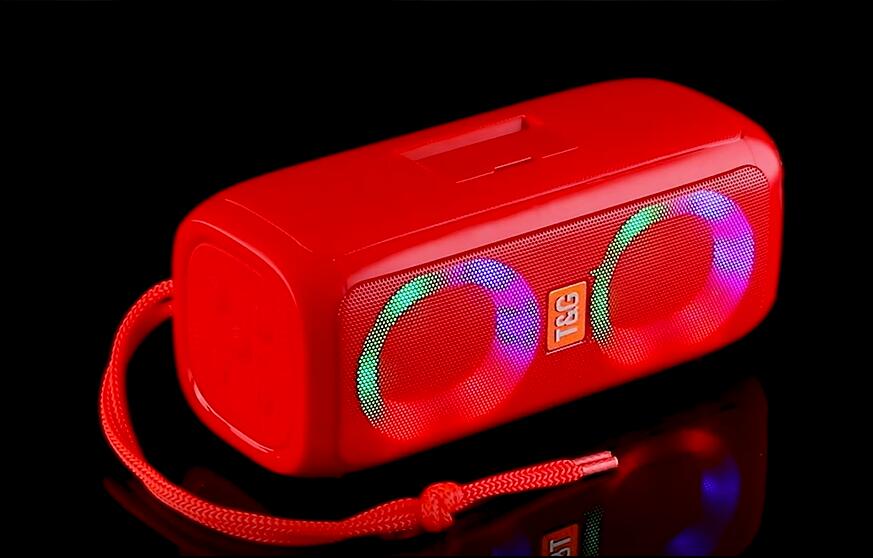 TG333 outdoor dual speaker karaoke speaker