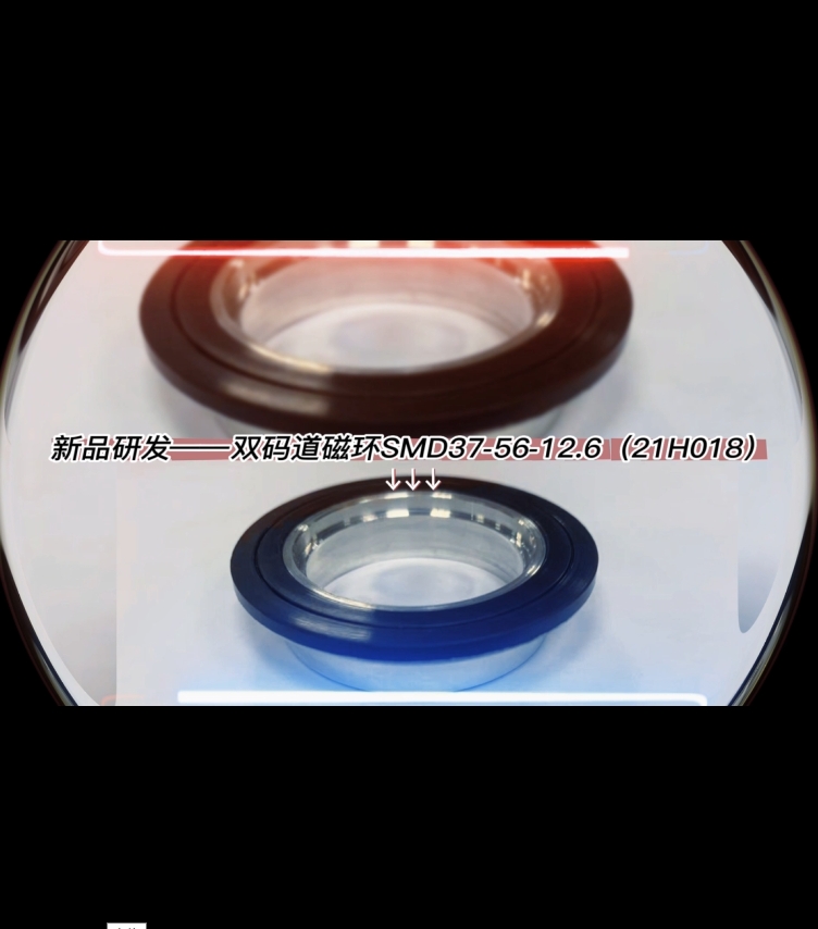 双码道码盘SMD37-56-12.6(21H018)