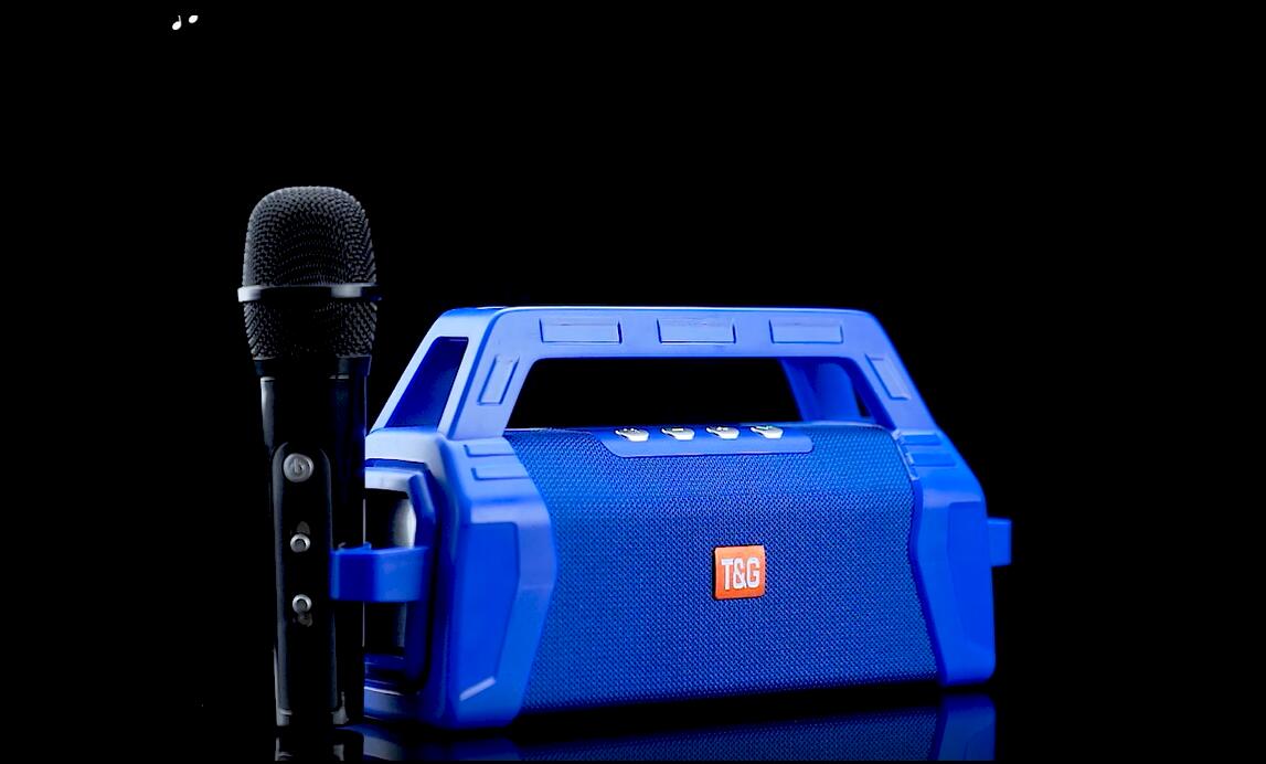 TG538 handheld wireless speaker with microphone